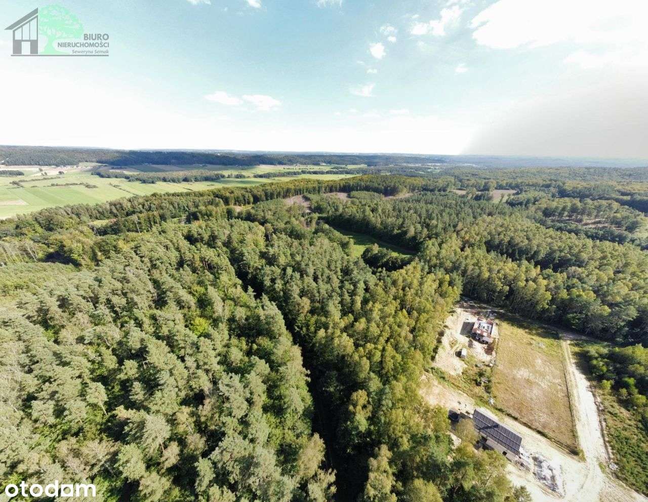 Duża działka siedliskowa 4600 m2 Strzebielino Wyb.-14