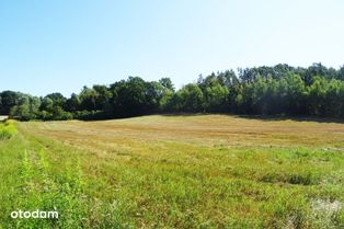 Działka z lasem - 4,83ha ! - obszar Natura 2000 !