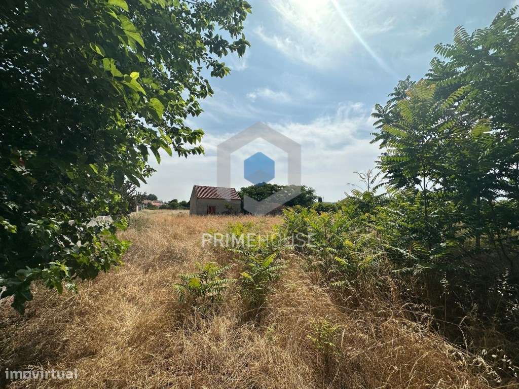 Terreno 12.000m2 para construção, em Brejos de Azeitão - Grande imagem: 4/11