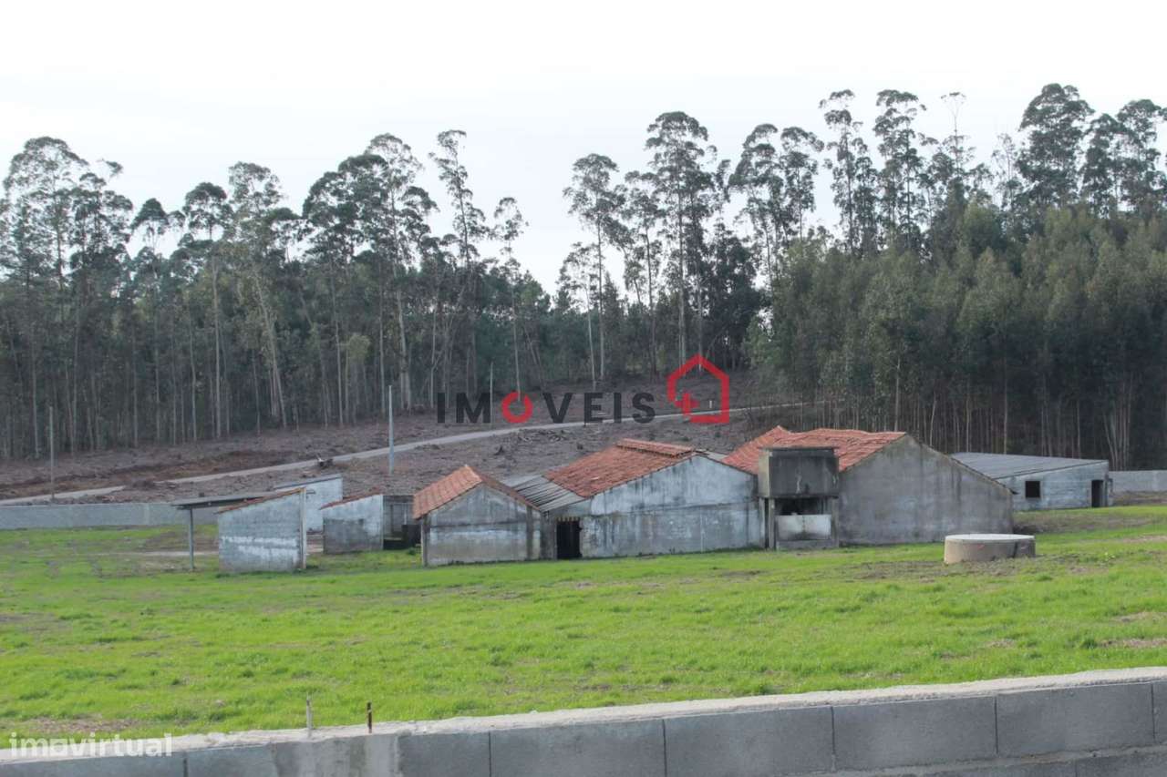 ***Terreno c/ 37.000m2 *** - Grande imagem: 3/19