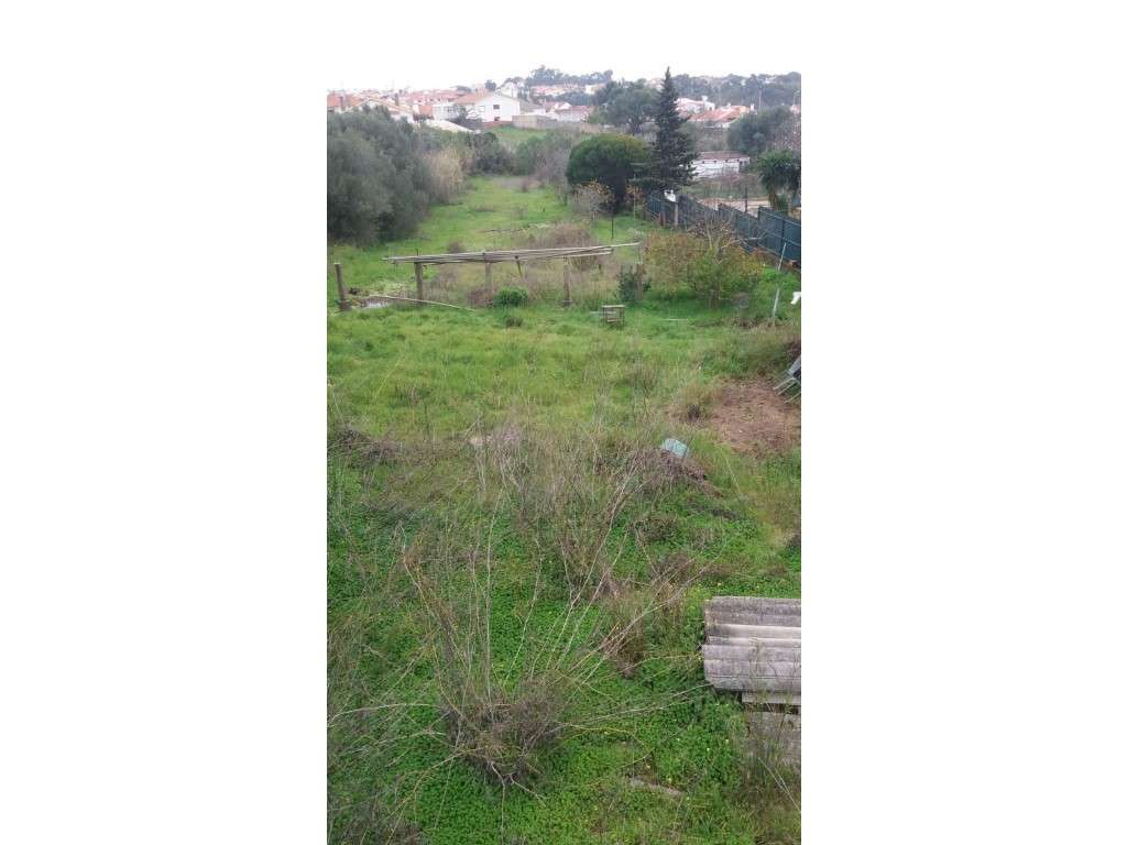 Terreno com 2040m² , Cascais, Manique-5