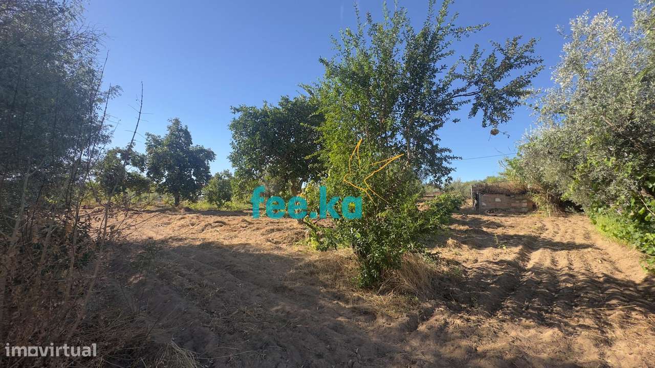 Terreno em Ladoeiro-17