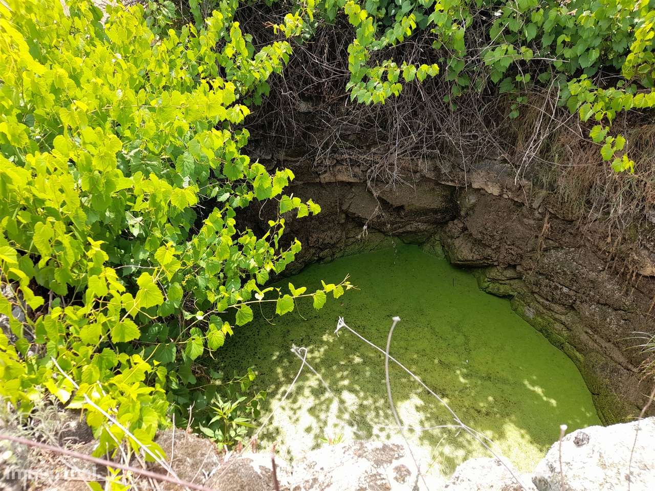 Terreno Rústico  Venda em Alcains,Castelo Branco - Grande imagem: 5/10