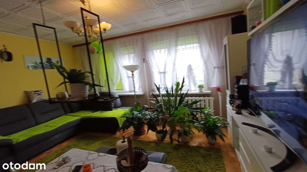 Rozkładowe 3 -pokojowe na Borku-3