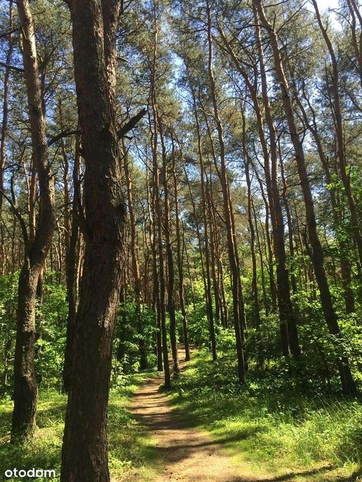 3pok. na Os.ParkLeśny po remoncie.Blisko lasu i M2-16