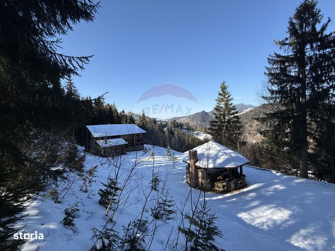 Cabană de vis în inima munților, chiar lângă pârtia de schi din Borșa-2