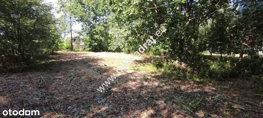 ⭐⭐⭐⭐⭐ Blisko Wkd Z Warunkami Zabudowy Media! ⭐⭐⭐⭐⭐-9