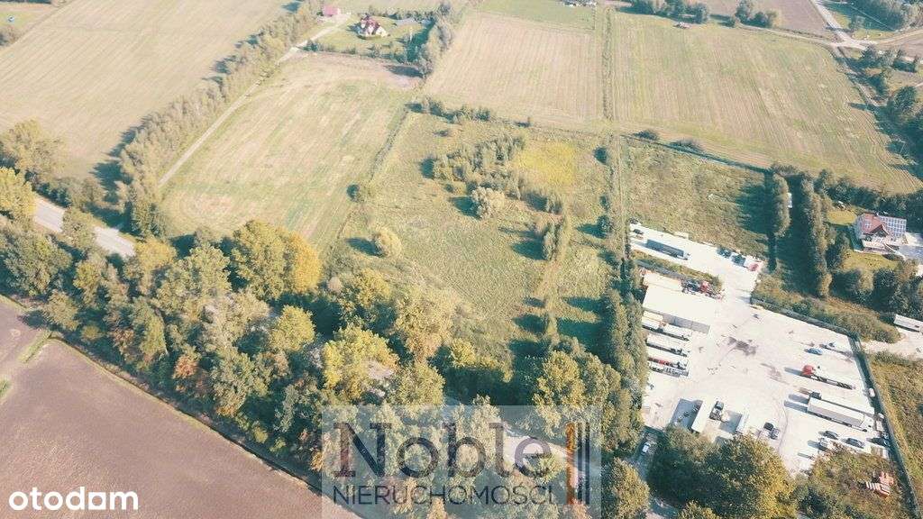 Doskonała lokalizacja - bez Kowr - Pełny obrazek: 4/11