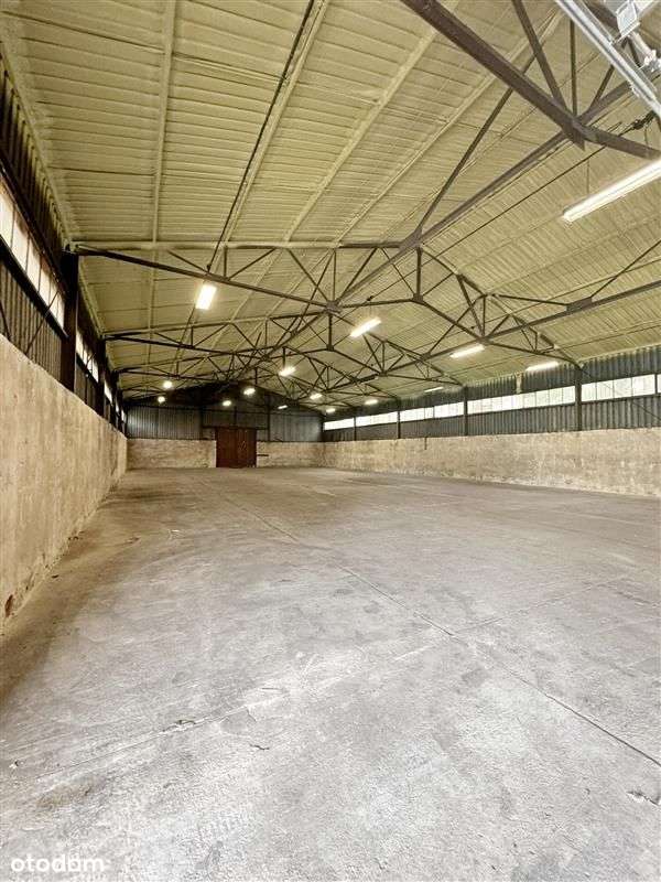 Magazyn z rampą i placem składowym - Pełny obrazek: 4/8