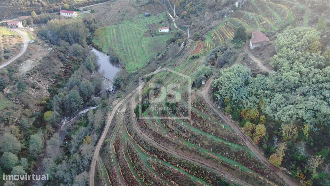 Quinta  Venda em Várzea de Abrunhais,Lamego - Grande imagem: 4/21