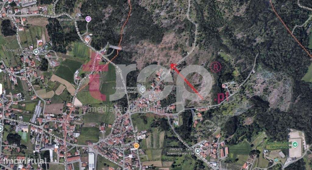 Terreno 22.600m2 Galegos S. Martinho - Grande imagem: 5/6