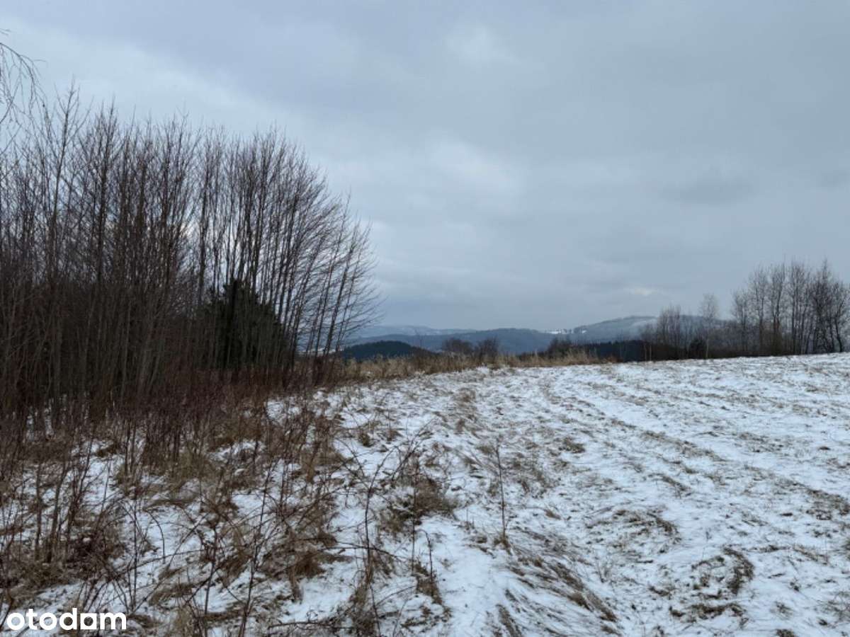 Działka z pięknymi widokiem, okazja! - Pełny obrazek: 4/7