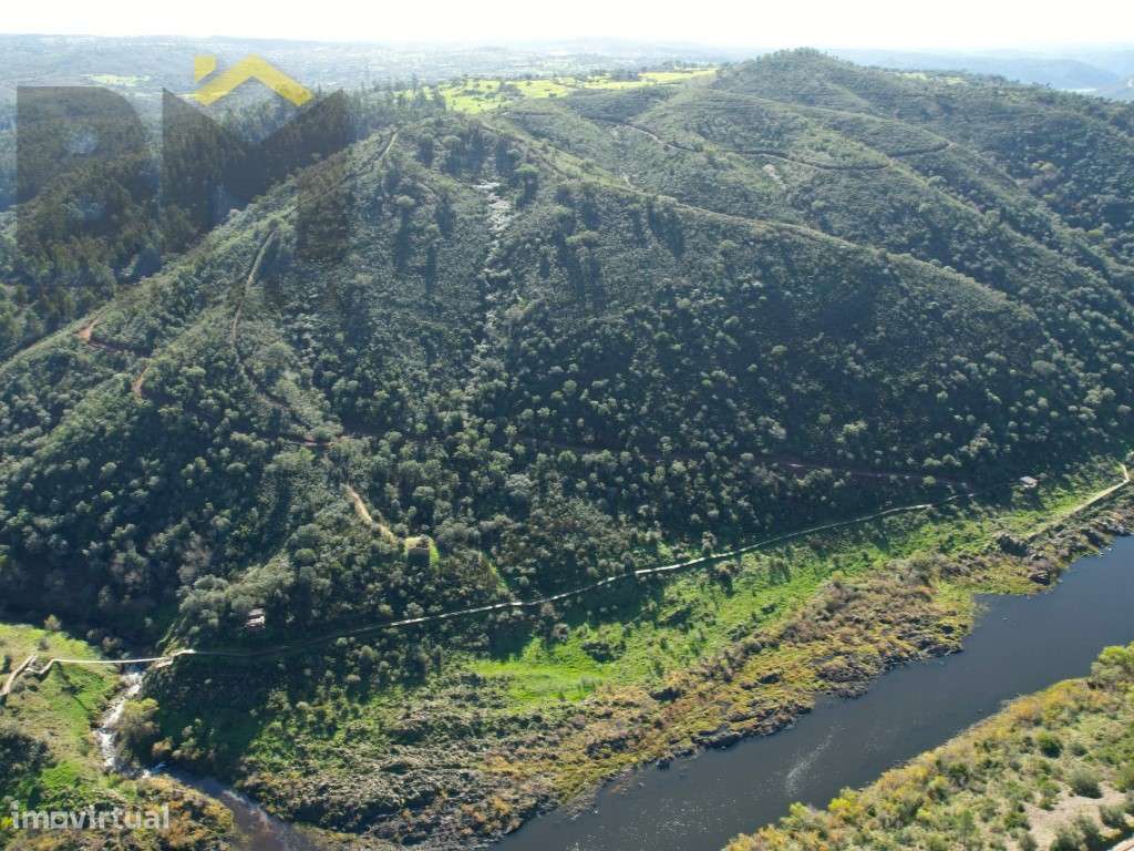 Terreno de 16,75hectares com ruina | Junto ao Rio Tejo - Grande imagem: 5/14