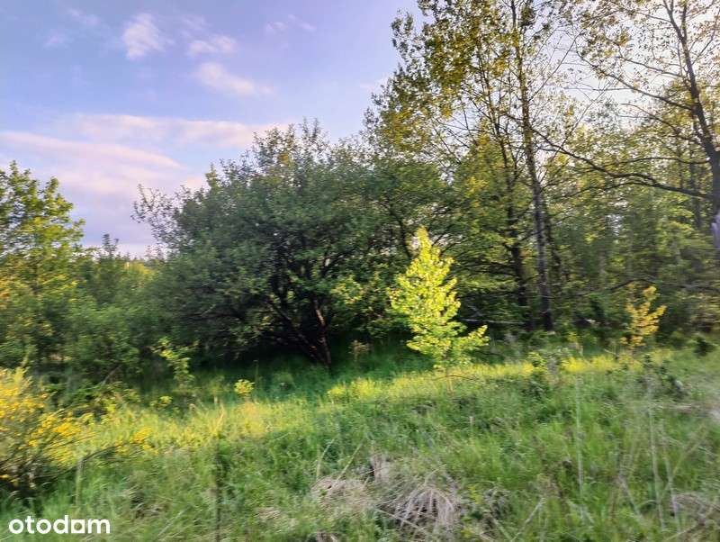 Działka budowlana nr 34/20 Jelenia Góra (warunki zabudowy)-6