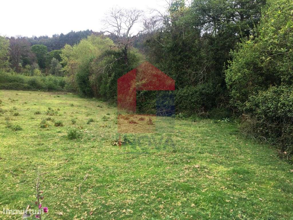 Terreno agrícola em Dossãos, Vila Verde - Grande imagem: 5/7