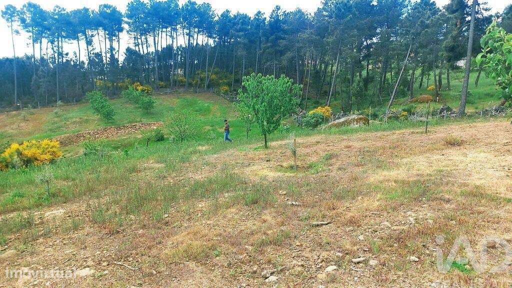 Terreno em São Lourenço de Ribapinhão de 14250,00 m2 - Grande imagem: 4/10
