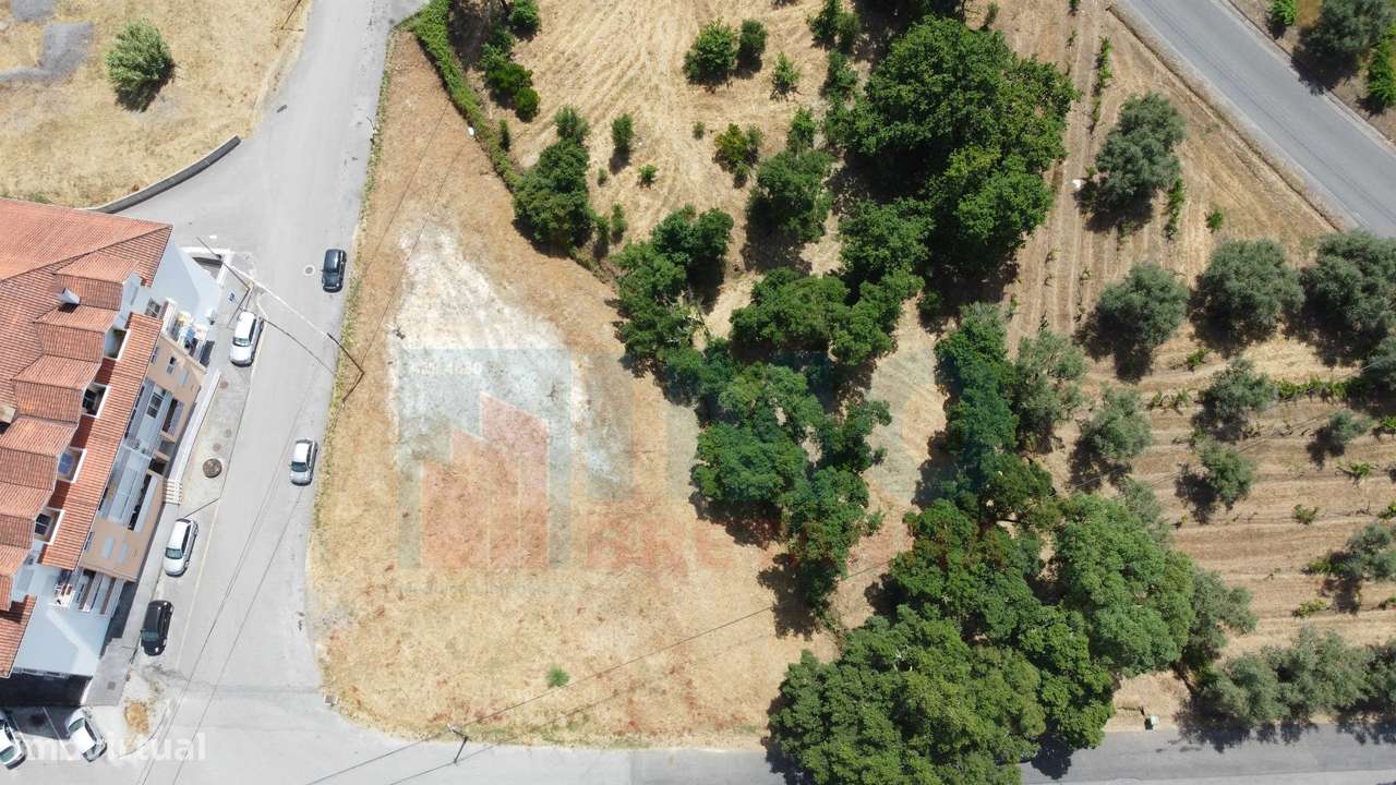 Terreno p/ Construção - Vila Nova de Poiares - Grande imagem: 4/13