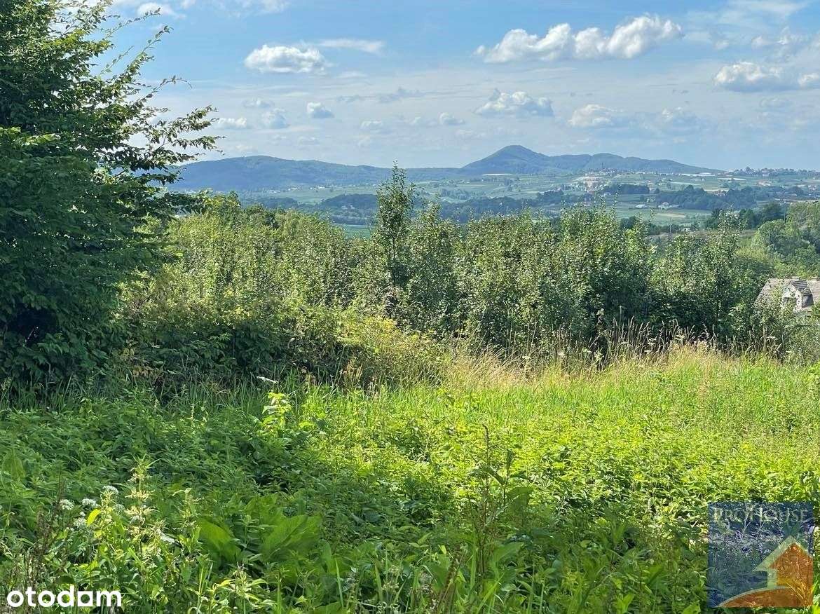 Działka otulona lasem - Pełny obrazek: 5/13