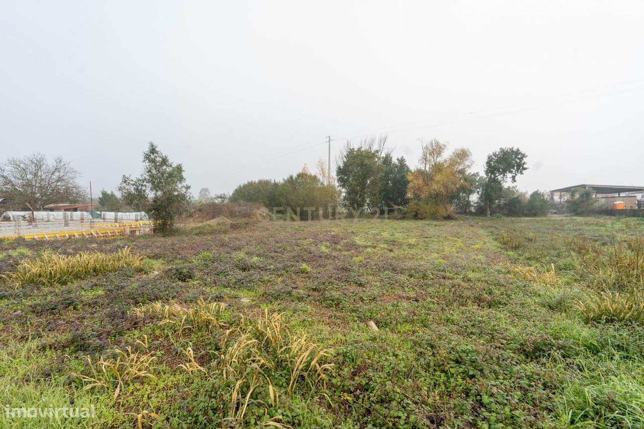 Lote de Terreno - C/ Projeto aprovado para moradia T3-23