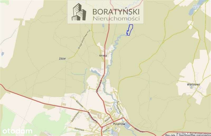 Działka z linią brzegową rzeki Grabowa-2