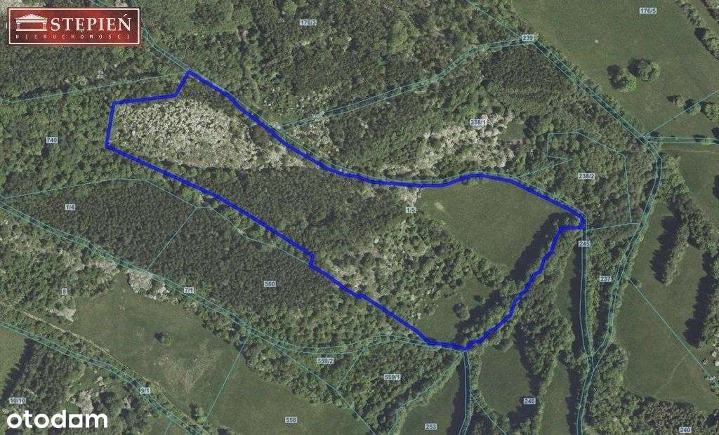 Grunt rolny w Dziwiszowie - Pełny obrazek: 5/10