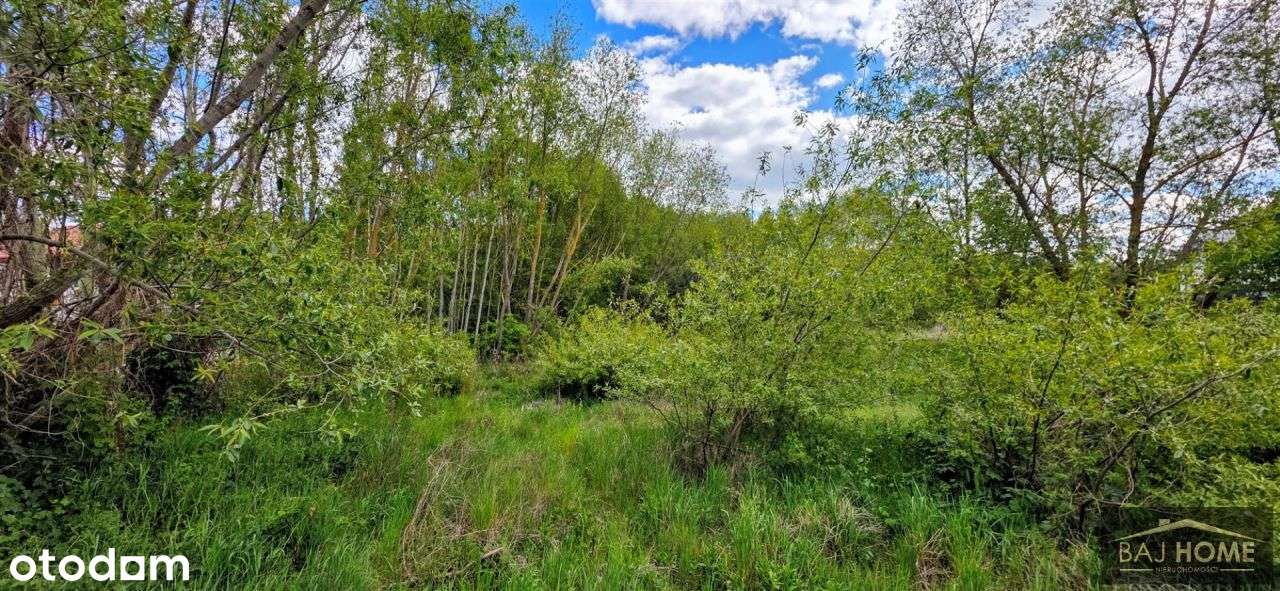 Działka na sprzedaż Biały Bór - Pełny obrazek: 4/4