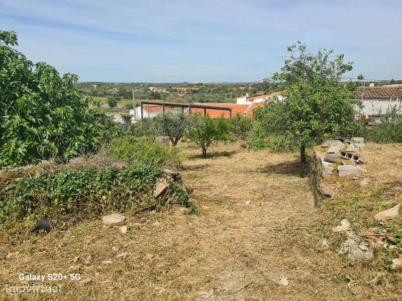 Quintal com casa - Grande imagem: 5/7