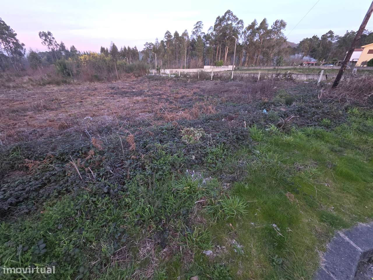 Fantásticos Terrenos com viabilidade de construção - Grande imagem: 4/7
