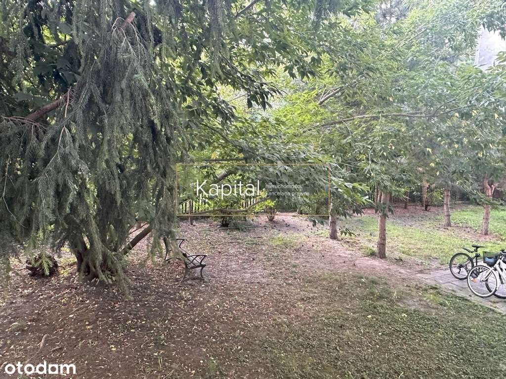 Osobna kuchnia, centrum, zielono, słoneczne;-10