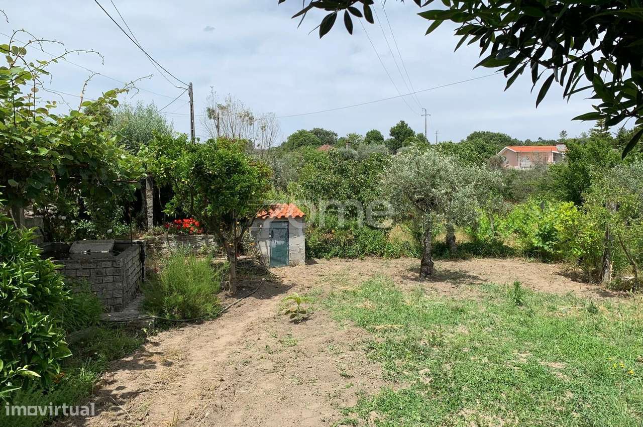 Terreno Urbanizável em Quintela da Azurara - Grande imagem: 5/21