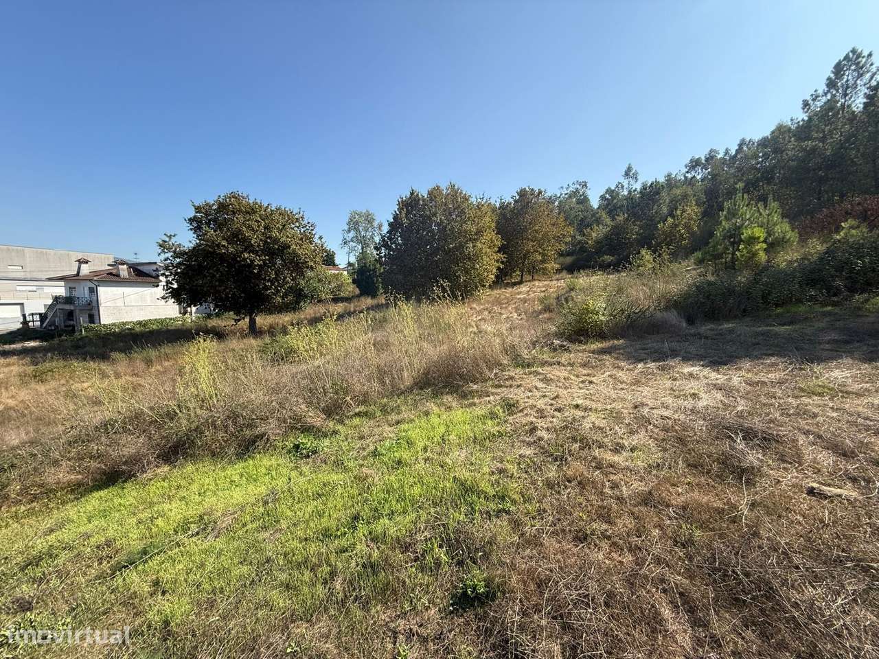 TERRENO RÚSTICO À VENDA – GUIMARÃES - Grande imagem: 4/13