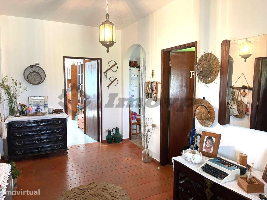 Quinta localizada a 1,5Km da Vidigueira-14