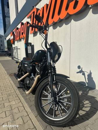 Harley-Davidson Sportster Iron 883 - 7