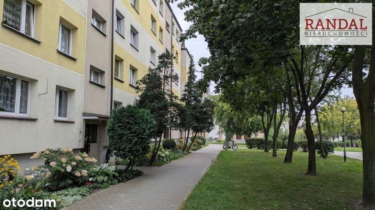 Bardzo przestronne mieszkanie-17