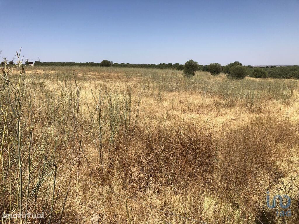 Terreno Agrícola em Beja de 22500,00 m2