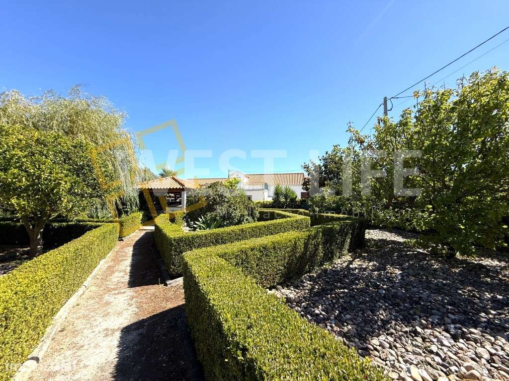 Moradia Independente T2+2 - Com jardim fabuloso e adega - Telheiro ... - Grande imagem: 4/34