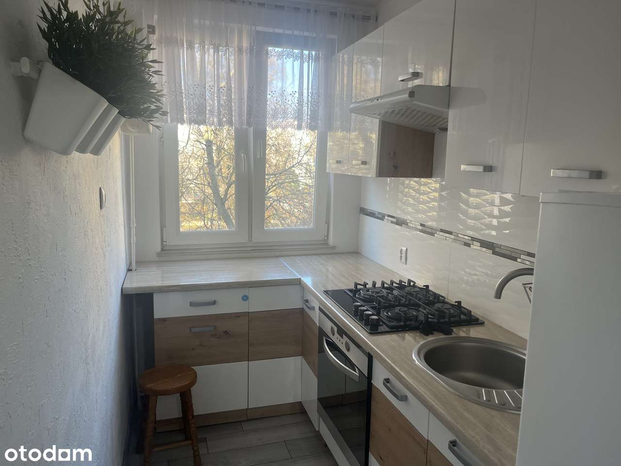 Przestronne 2 pokojowe mieszkanie z balkonem - Pełny obrazek: 5/9