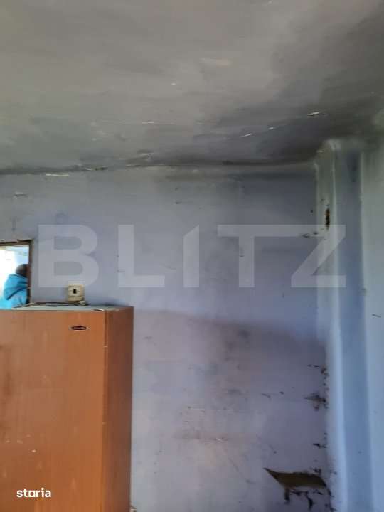 Casa batraneasca de vanzare, 48 mp, zona Patroaia Deal cu Comision 0 - Imagine principală: 5/19