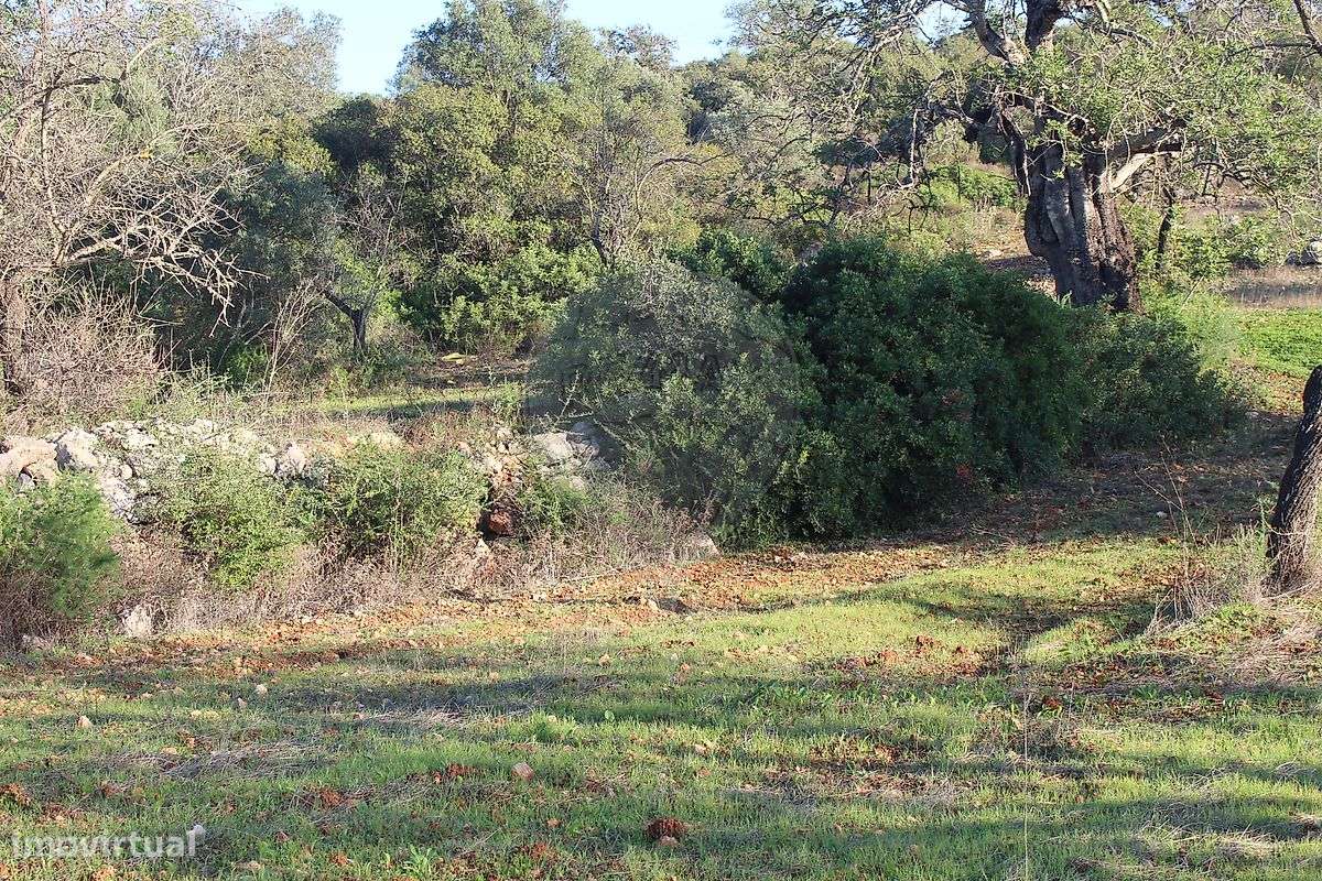 Terreno  para venda - Grande imagem: 5/9