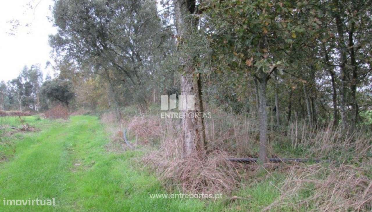 Venda de Terreno em Rio Mau, Vila do Conde - Grande imagem: 5/5