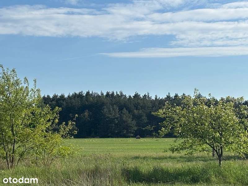 Działka pod inwestycje w pobliżu Kamiennogórskiej SSEMP!!!-6