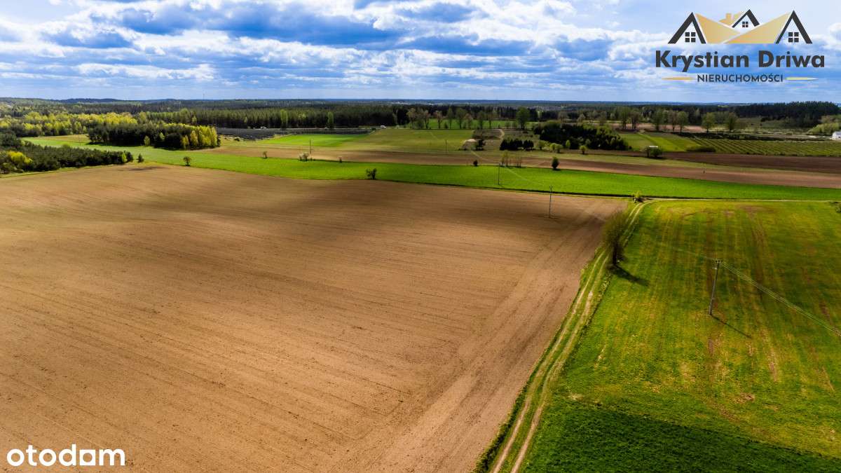 Ostatnia działka w Mściszewicach (gm. Sulęczyno)! - Pełny obrazek: 5/8