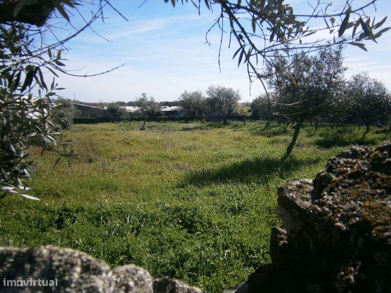 Terreno - Grande imagem: 2/6