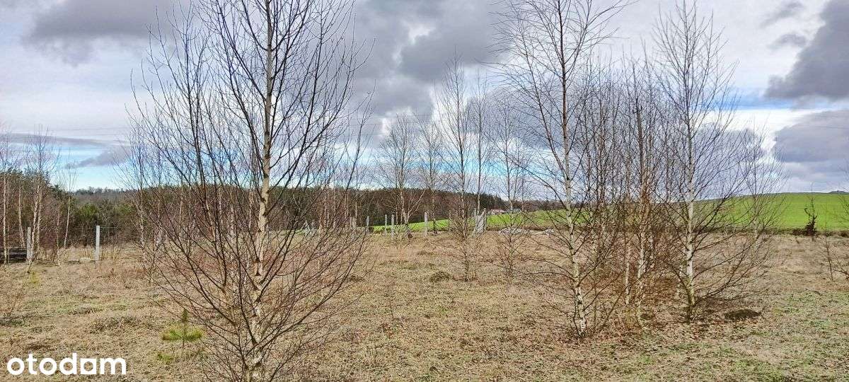 Działka budowlana, 400 m od Jeziora Strzepcz - Pełny obrazek: 5/10