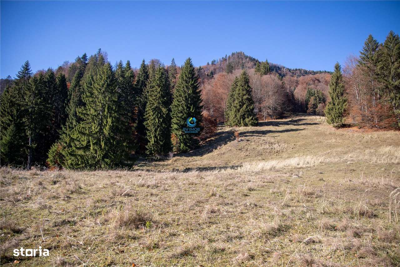 Teren de Vis langa Siriu  – 20000 mp ideal pentru Complex turistic Com-15