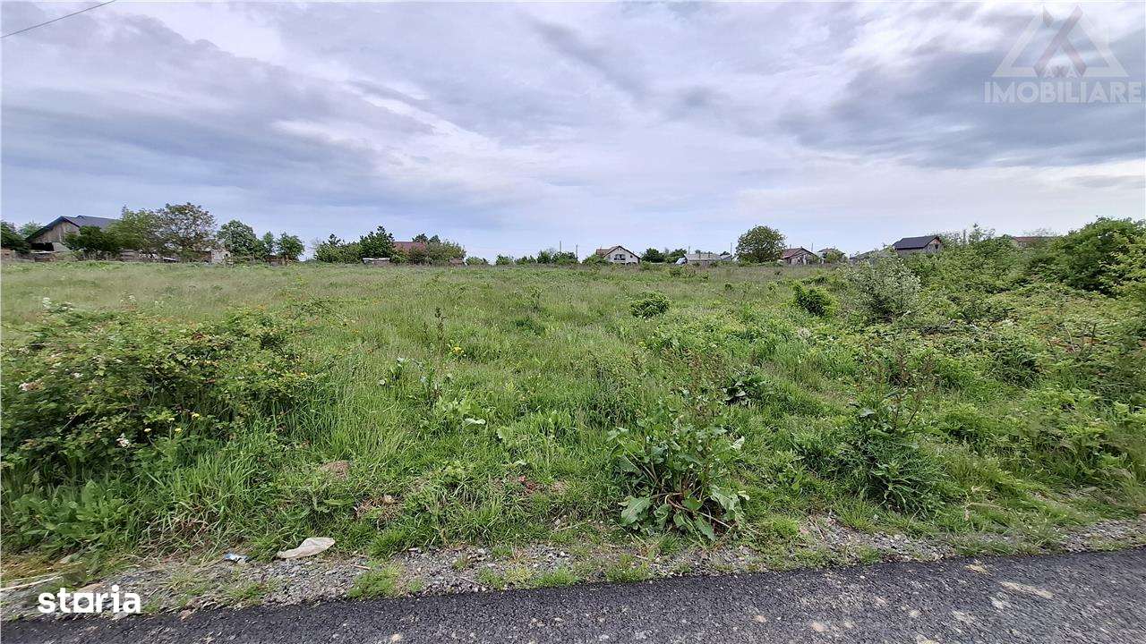 Teren Intravilan 3300 mp Paun Bucium,Utilitati!!! - Imagine principală: 4/5