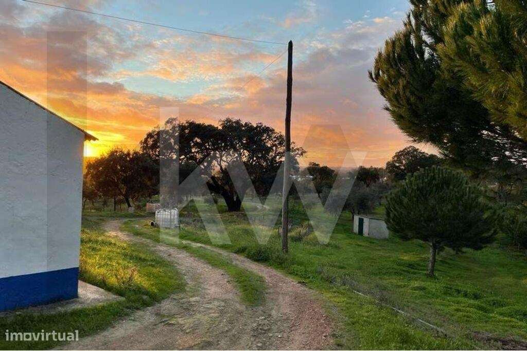 Terreno  com 13 hectares em Santiago do Cacém - Grande imagem: 3/13