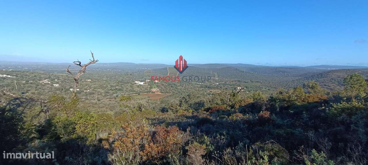 Terreno Rústico com 16 000 m2 em Paderne Algarve - Grande imagem: 5/11