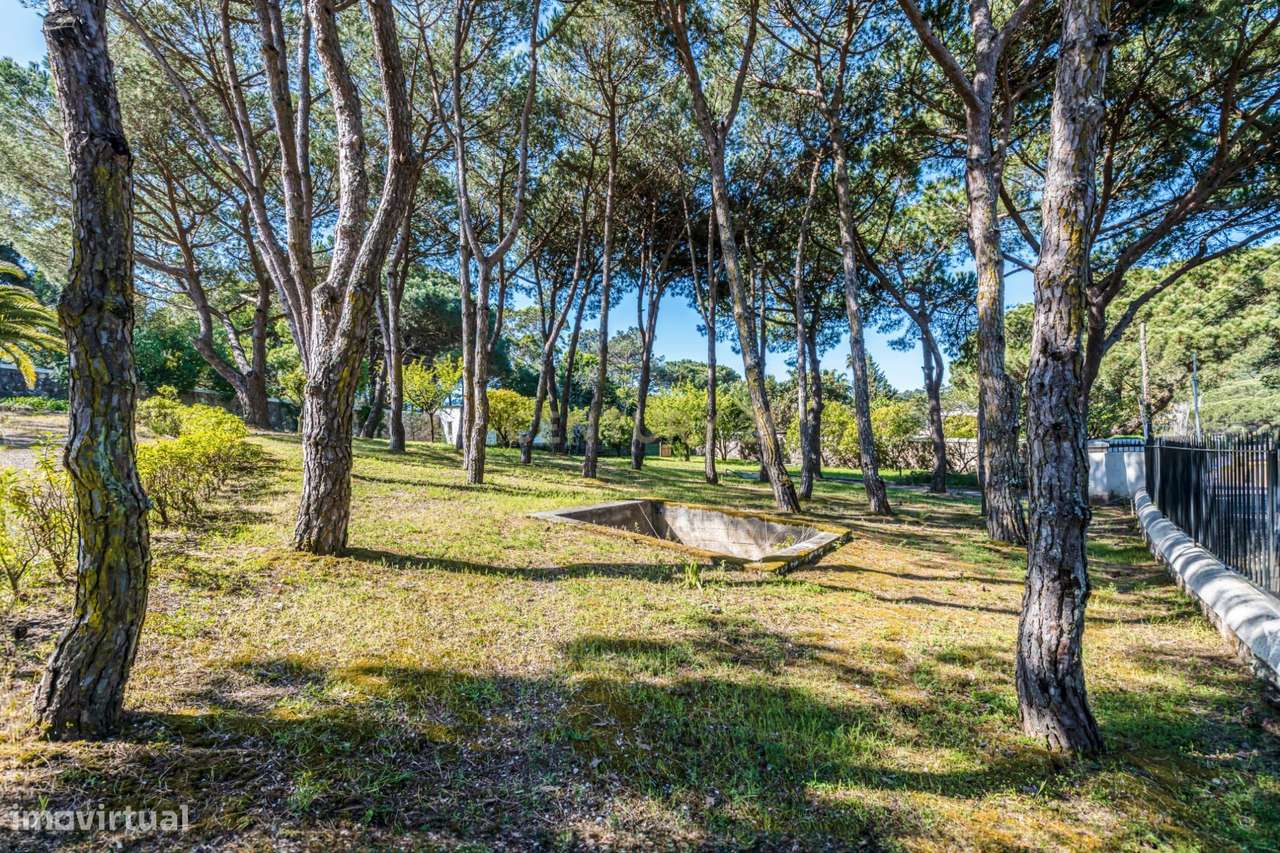 Moradia T12 e terreno 7100 m2-15