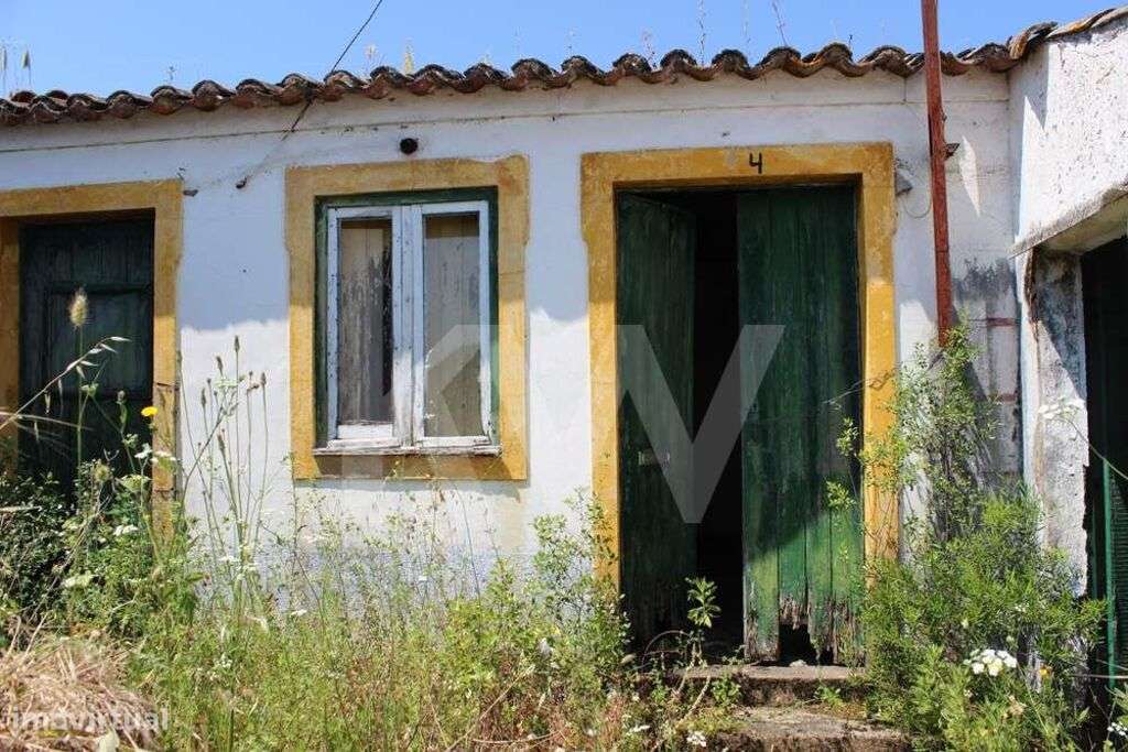 Terreno 13360 m2 - Venda  Fontinha  Casais e Alviobeira -Tomar - Santa - Grande imagem: 5/25